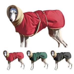 Your Greyhound and large pal will be cozy all autumn/winter long in this Waterproof Fleece Dog Coat, featuring an extended neck and splashproof fabric.