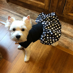 This Polka Dot Tutu Dog Dress fits small dogs like Yorkshire Terrier.