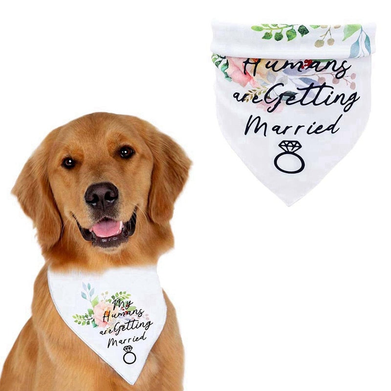 Golden retriever wearing My Humans Are Getting Married Size Chart