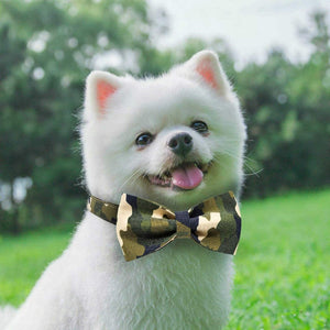 Small dogs look posh wearing this Camouflage Bow Tie Dog Collar.