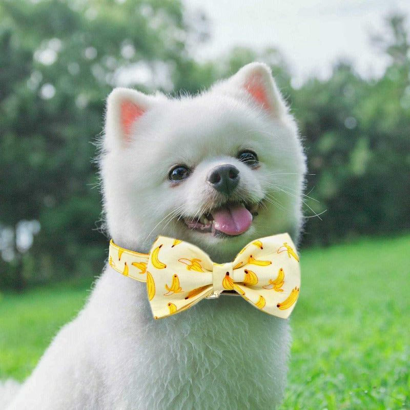 Our luxurious, handmade Going Bananas Bow Tie Dog Collar & Leash Sets are best sellers.