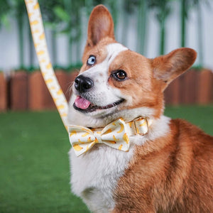 Medium dogs look dapper wearing our Going Bananas Bow Tie Dog Collar & Leash Set