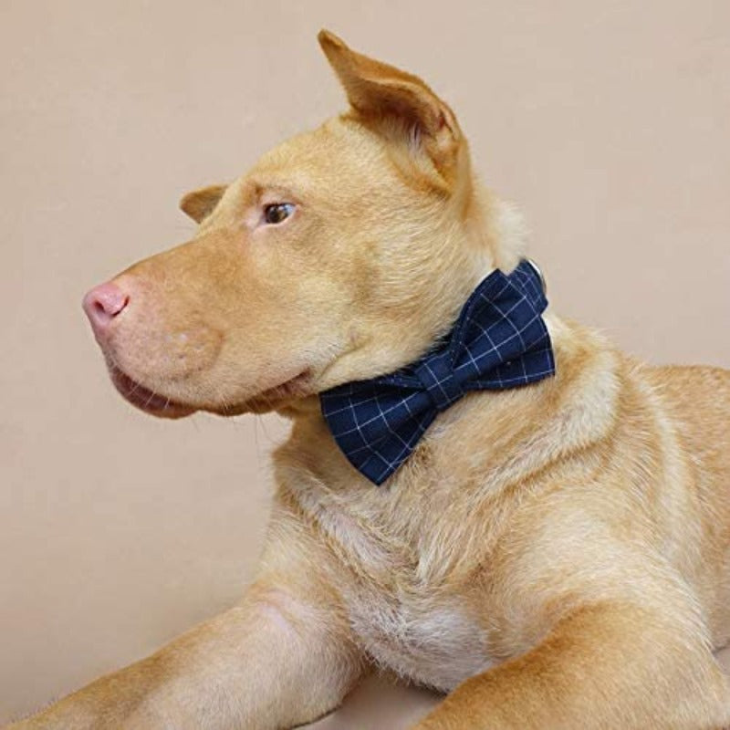Our classic Navy Check Bow Tie Dog Collar & Leash Set is among our best sellers.