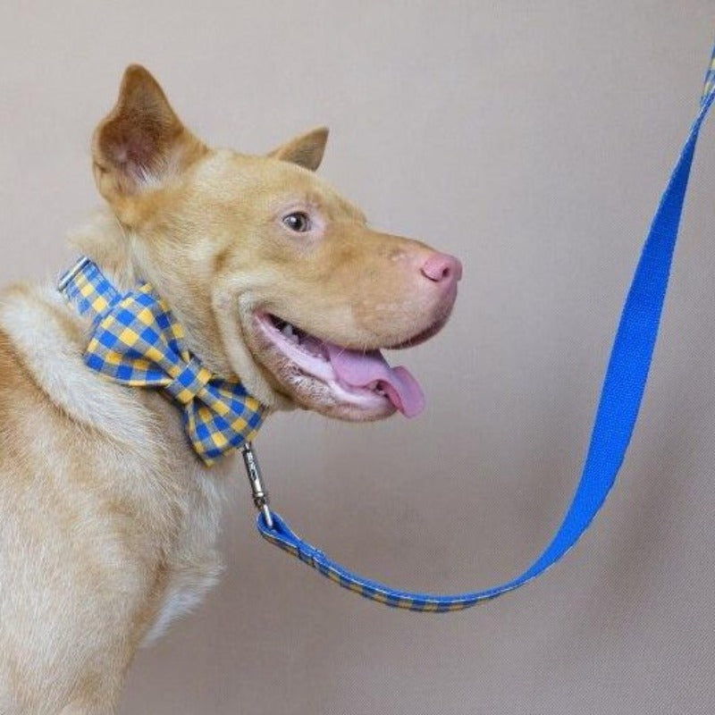 Our preppy Blue & Yellow Plaid Bow Tie Dog Collar & Leash Sets are best sellers.