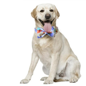 Large dog wearing Camouflage Bow Tie Dog Collar