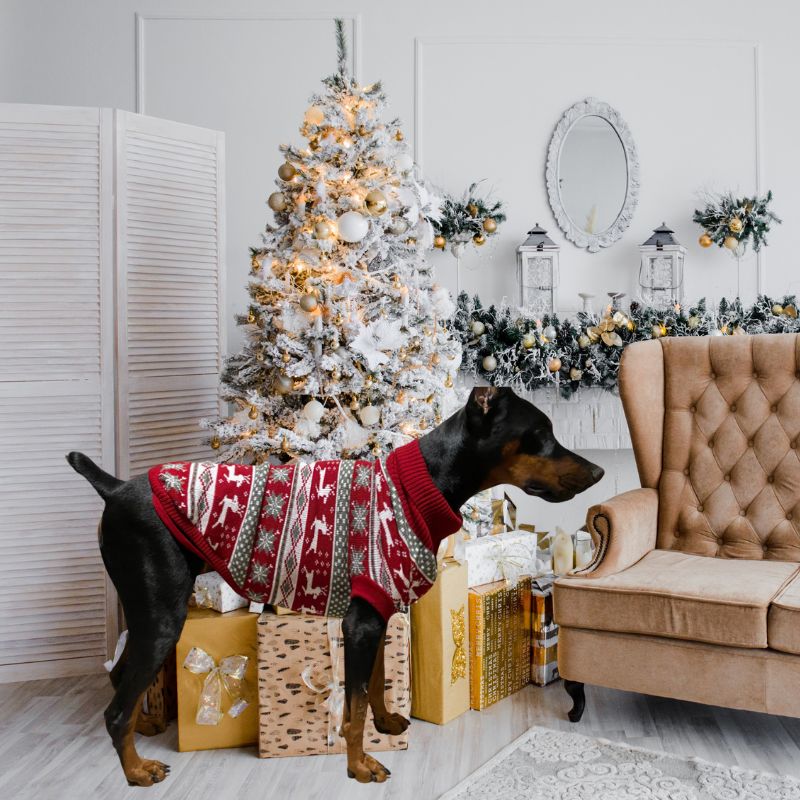 Cozy Christmas Sweater for Big Dogs Red Deer / 28
