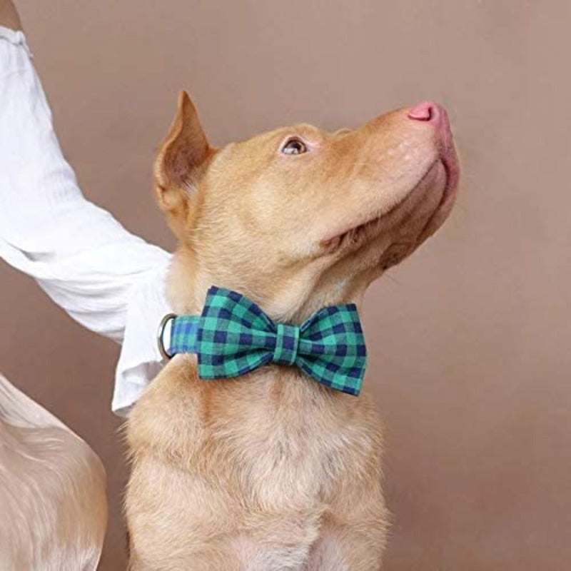 Our Blue-Green Plaid Bow Tie Dog Collar & Leash Set is a best seller.