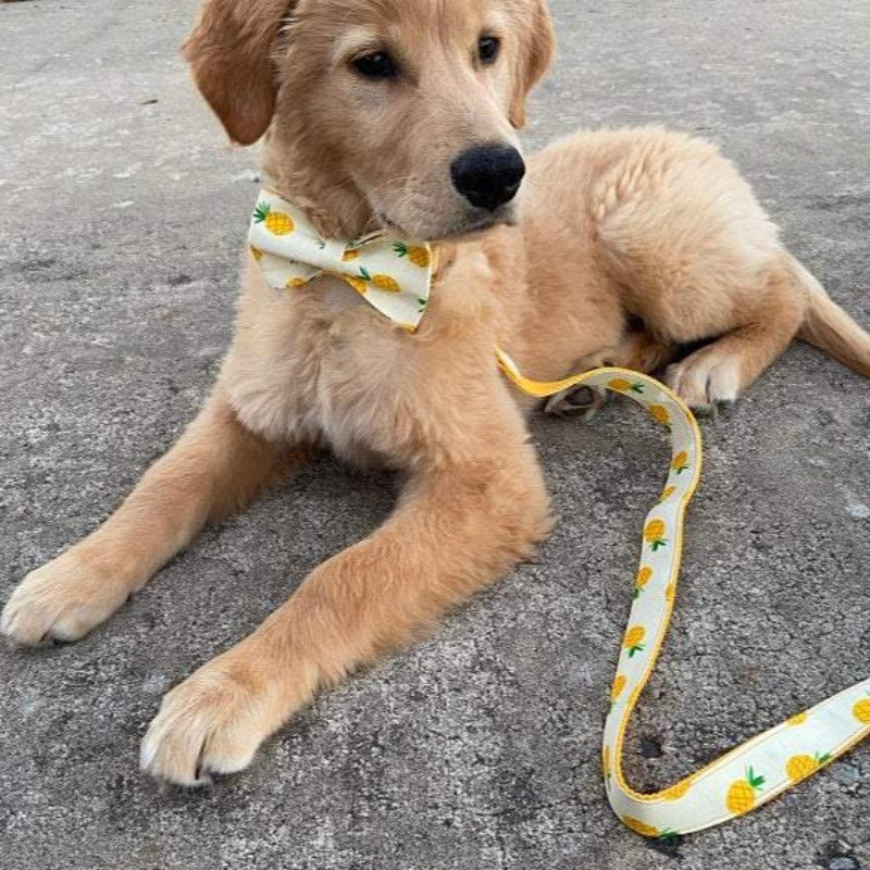  Our luxurious, handmade  Sweet Pineapple Bow Tie Dog Collar & Leash Sets are best sellers.