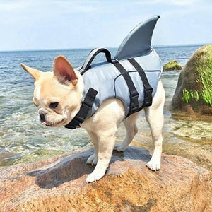Gray shark fin dog life jacket helps keep your pet safe in the water.