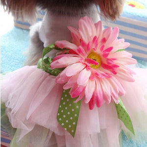 Dress features a large pink Gerbera daisy flower at the waist, with green polka dot bow.