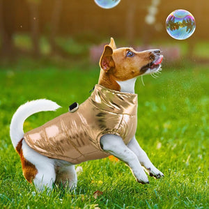 Available in 3 colors, this stylish Waterproof Puffer Dog Vest suits small- to medium-breed dogs.
