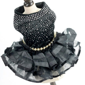 A real stunner, this Bling Black Dog Party Dress is bound to make your pup the star of the show. 