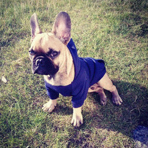 Navy Sporty Dog Hoodies Sweatshirt fits small dogs like French Bulldogs.