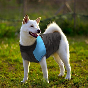 This Big Buddy Waterproof Winter Dog Vest is designed for large dog breeds like Samoyed.