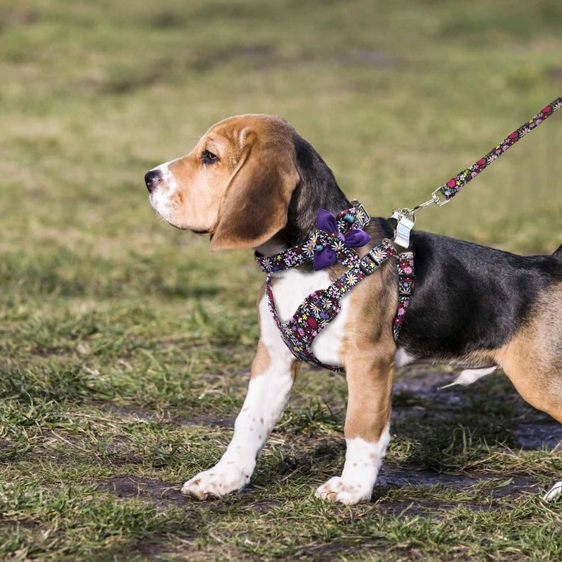 Go hippy chic with this floral Bohemian 3-Piece Harness matching set, which includes a Harness, Flower Dog Collar and Leash. 