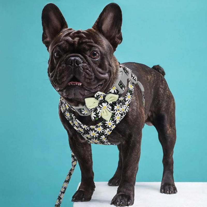 Go wild with this Delightful Daisies 3-Piece Harness matching set, which includes a Harness, Flower Dog Collar and Leash. 