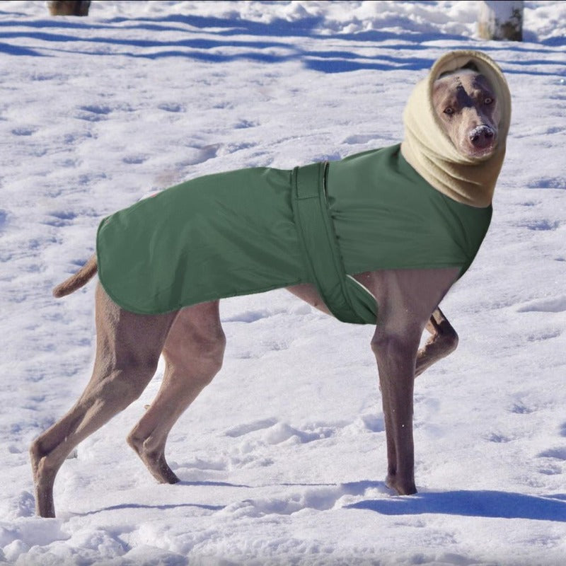 Boxer Puppy Best Winter Coat For Boxer Dogs Waterproof Fleece