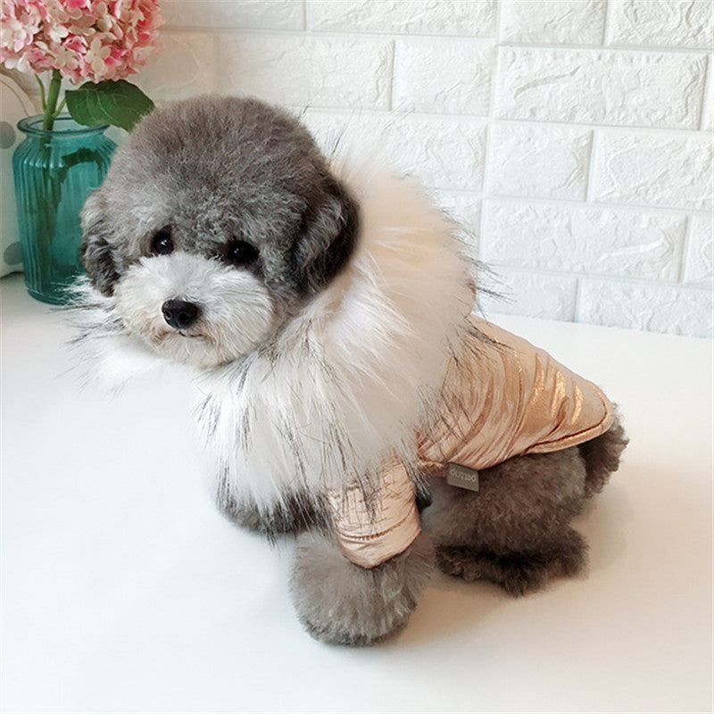 Silver Gold Fur Hooded Dog Coat Poshdoglife Posh Dog Life