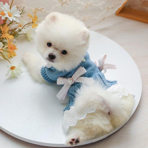 Blue Sweet Lace Dog Sweater Dress suits small dogs.