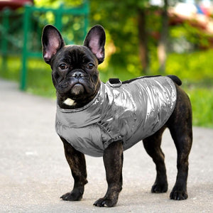 Chic Waterproof Puffer Dog Coat in metallic silver. 