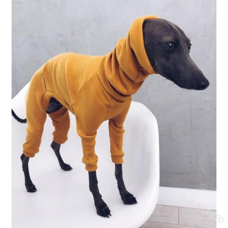 turtle necks for dogs