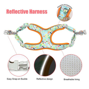 Dog harness is reflective for night visibility.