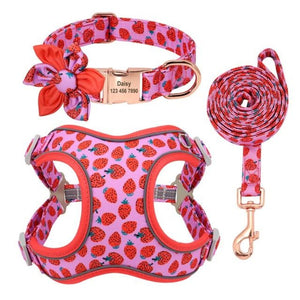 OUT OF STOCK!! COLLAR, HARNESS & LEASH PINK