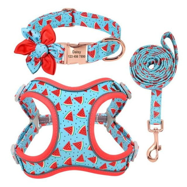 Bond & Co. Teal Leather Bow Tie Dog Collar, XX-Small