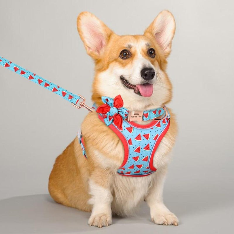 Show off your pal's personality with this juicy Watermelon 3-Piece Harness matching set, which includes a Harness, Personalized Flower Dog Collar and Leash. 