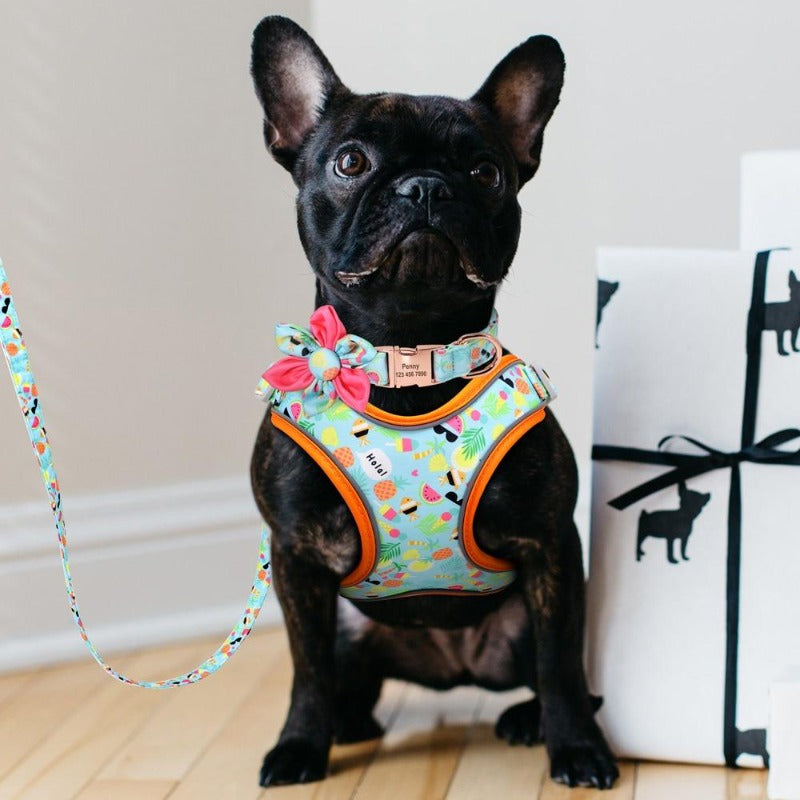 Your fur baby will be ready for some summer fun with this Summer Vacation 3-piece Harness matching set, which includes a Harness, Personalized Flower Dog Collar and Leash. 