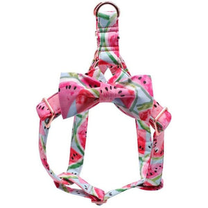 Gorgeous and vibrant, this Watermelon Harness Set features a luxurious handmade double bow tie that is detachable.