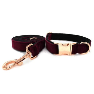 Our durable bow tie collars can be worn for visits to the park or more special occasions.