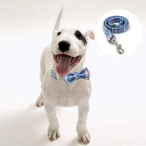Small, medium and large dogs look posh in our bow tie collar and leash matching sets.