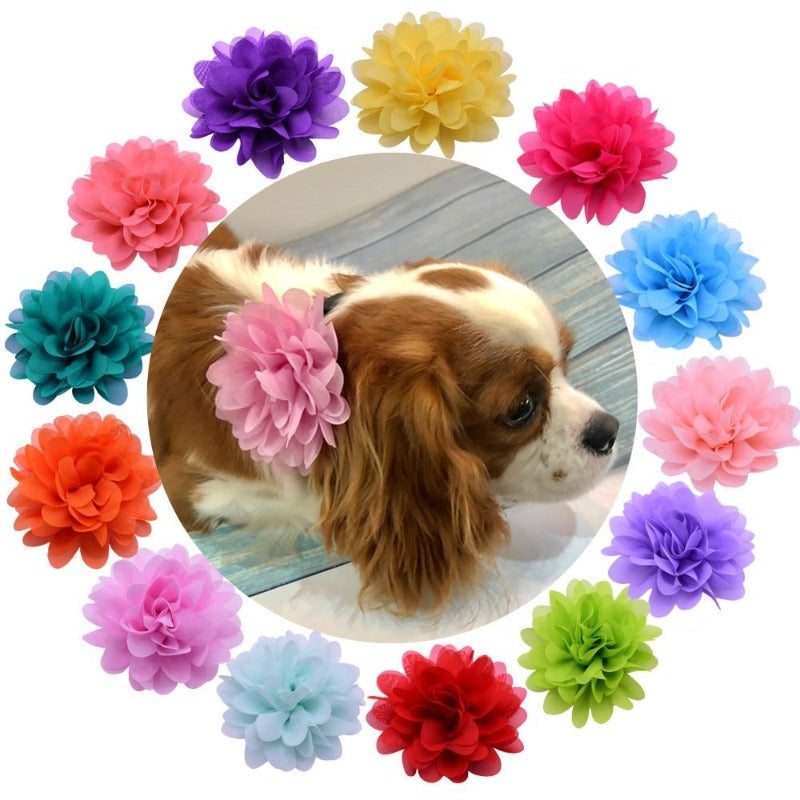 Available in an array of colors, these gorgeous Chiffon Flower Dog Collar Sliders dress up any collar for special occasions.