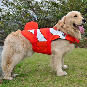 Dog life jackets are perfect for lake outings and water sports. 