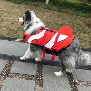 Dog life jackets help to provide safety for water sports.
