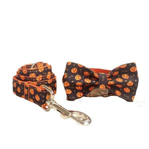 Boo! This Pumpkins Bow Tie Dog Collar & Leash Set is perfect for Halloween.