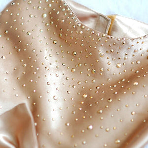 Bling beading adorns the bodice of the Shimmering Sequins Dog Party Dress.