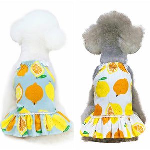 Tropical Fruits Dog Sundress comes in blue or white.
