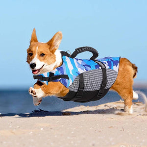 Our dog life jackets are perfect for beach days and water sports. 