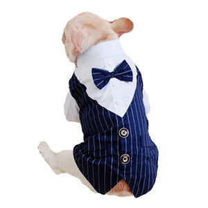 Pinstripe Suit Dog Vest Set is perfect for weddings and formal black-tie parties.