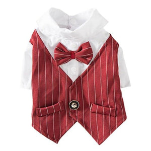 Pinstripe Suit Dog Vest in red.