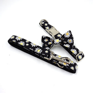 Our durable bow tie collars can be worn for visits to the park or more special occasions.