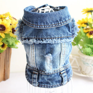 Your little dude or dudette will look hip in this Frayed Denim Jacket on spring walks