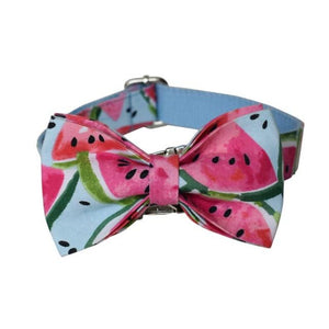 Juicy Watermelon Bow Tie Dog Collar set in light blue.