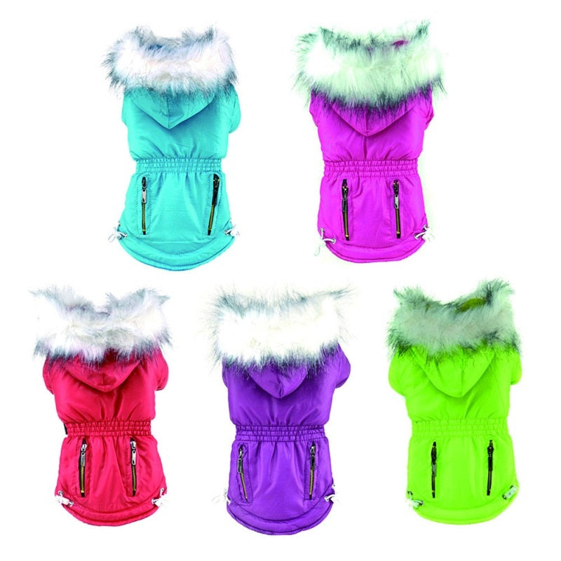 Available in 5 bright colors, this stylish dog parka suits small dogs.