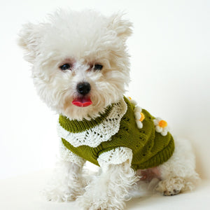 Green Blossoming Floral Dog Sweater fits small dogs like Maltese.