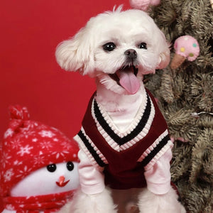 This Preppy V-neck College Dog Sweater Pullover is easy to put on.