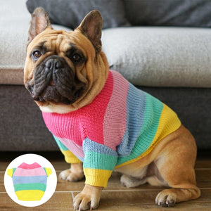 Rainbow Dog Sweater suits small to medium dogs.