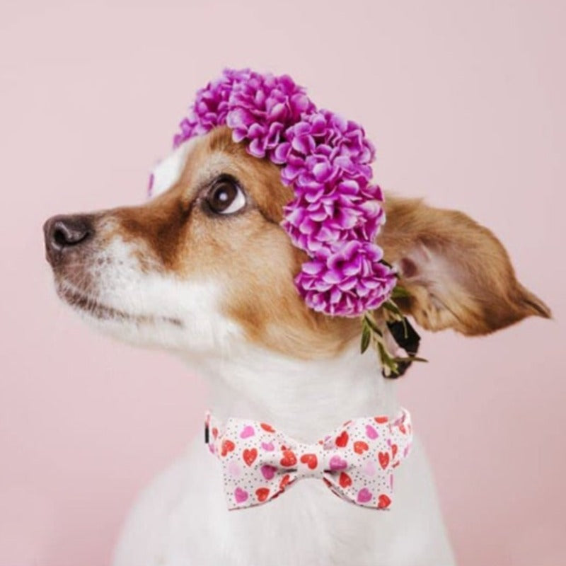 As sweet as sugar, this Candy Hearts Bow Tie Dog Collar by Unique Style Paws will have your pup going gaga over you.